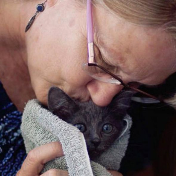 Lifesaving foster families at Foster Army